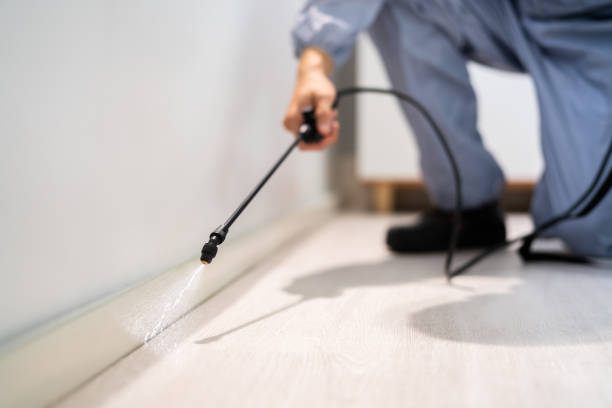 Rodent Entry Point Assessment in Forestdale