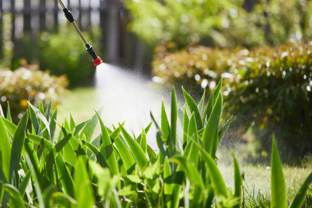 Tamper-Resistant Bait Stations for Rodents in Forestdale