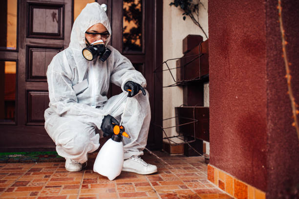 Attic and Crawl Space Rodent Treatment in Forestdale